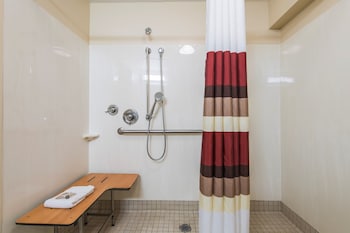 Standard Room, 1 King Bed (Roll-In Shower, Smoke Free)