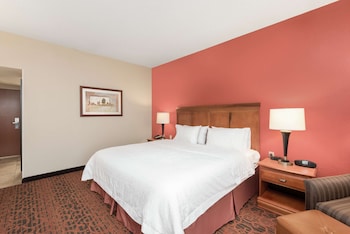 Room, 1 King Bed, Accessible