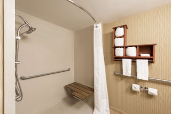 Room, 1 King Bed, Accessible, Non Smoking