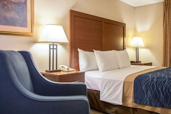 Deluxe Room, 1 King Bed, Non Smoking