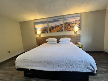 Room, 1 King Bed, Accessible, Non Smoking (Mobility Accessible)