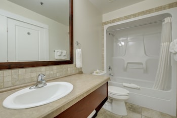 Premium Room, Multiple Beds