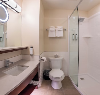 Room, 1 King Bed