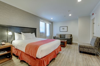 Premium Room, Multiple Beds