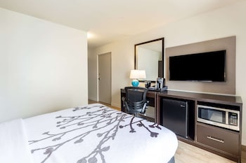 Room, 1 Queen Bed, Accessible, Non Smoking