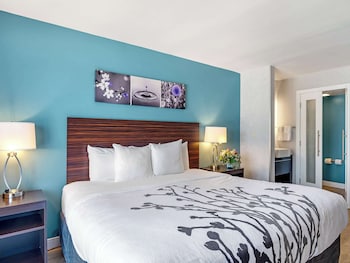 Room, 1 King Bed (Boulevard View)