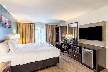 Room, 1 King Bed (Boulevard View)