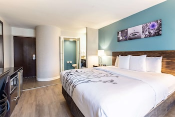 Room, 1 King Bed (Boulevard View)