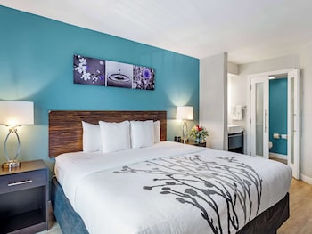 Room, 1 King Bed (Boulevard View)