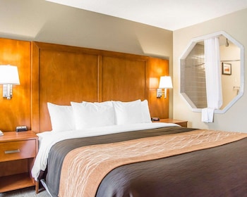 Standard Room, 1 King Bed, Non Smoking