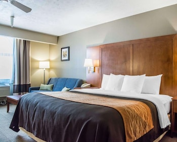 Standard Room, 1 King Bed, Non Smoking