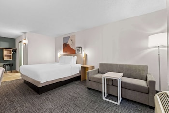 Room, 1 King Bed