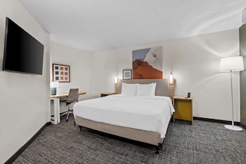 Studio, 1 King Bed