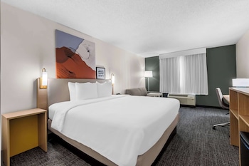 Room, 1 King Bed