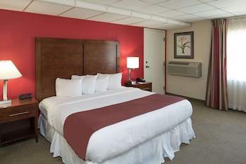 Room, 1 King Bed, Non Smoking