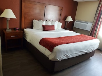 Room, 1 King Bed, Non Smoking