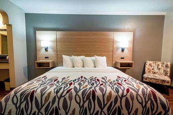 Room, 1 King Bed, Accessible, Non Smoking
