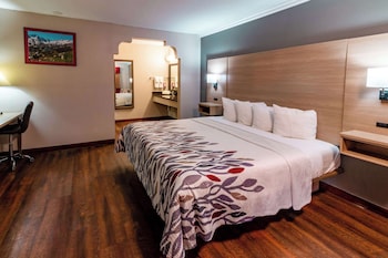 Room, 1 King Bed, Accessible, Non Smoking