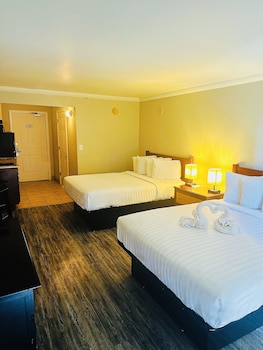 Studio, 2 Queen Beds
