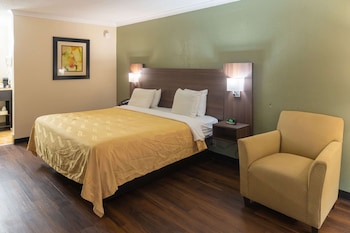 Room, 1 King Bed, Accessible, Non Smoking