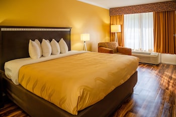 Standard Room, 1 King Bed, Non Smoking