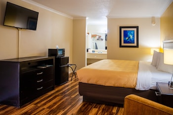 Room, 1 King Bed, Smoking