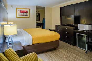 Standard Room, 1 King Bed, Non Smoking