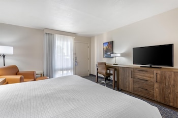 Standard Room, 1 King Bed, Accessible, Non Smoking