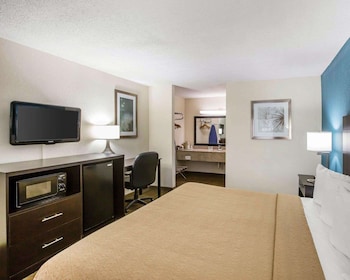 Business Room, 1 King Bed, Smoking