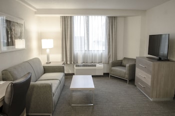 Standard Room, 1 King Bed with Sofa bed
