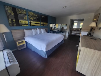 Standard Room, 1 King Bed, Non Smoking, Jetted Tub