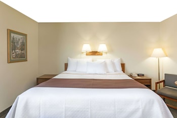 Suite, 1 King Bed