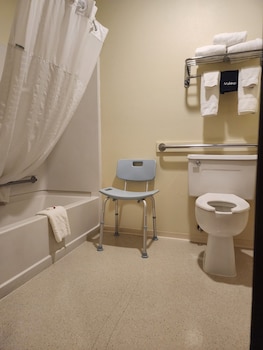 Standard Room, 1 King Bed, Accessible