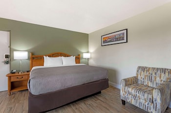 Standard Room, 1 King Bed, Non Smoking