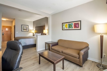 Suite, 1 King Bed with Sofa bed, Accessible, Non Smoking (Efficiency)