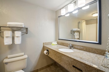 Suite, 1 King Bed with Sofa bed, Accessible, Non Smoking (Efficiency)
