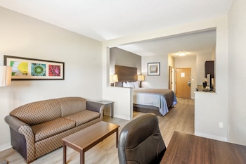 Suite, 1 King Bed with Sofa bed, Non Smoking