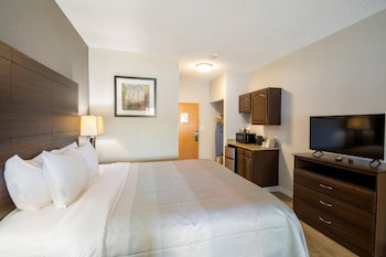 Suite, 1 King Bed with Sofa bed, Accessible, Non Smoking (Efficiency)