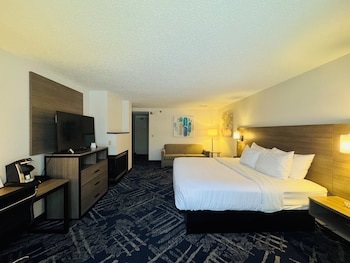 Standard Room, 1 King Bed, Accessible, Refrigerator & Microwave