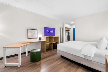 Room, 1 King Bed