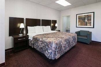 Room, 1 King Bed