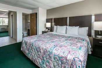Suite, 1 King Bed