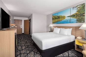 Standard Room, 1 Queen Bed, Accessible, Non Smoking