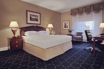 Room, 1 King Bed