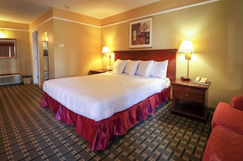 Standard Room, 1 King Bed, Non Smoking