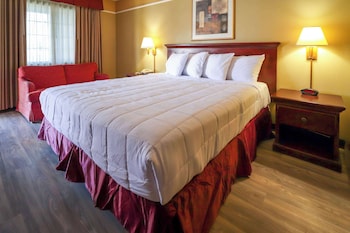 Suite, 1 King Bed, Non Smoking