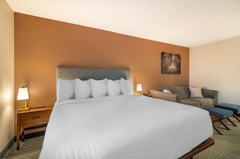 Standard Room, 1 King Bed with Sofa bed, Non Smoking