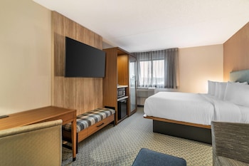 Standard Room, 1 King Bed with Sofa bed, Non Smoking