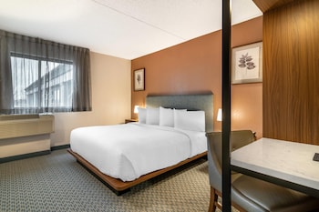 Room, 1 Double Bed, Accessible, Non Smoking