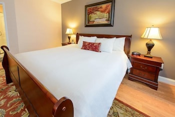 Suite, 1 King Bed with Sofa bed, Refrigerator